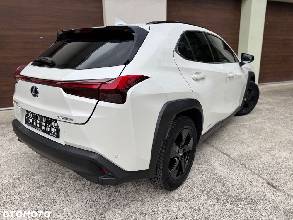 Lexus UX 200 GPF F Sport Edition 2WD - 10