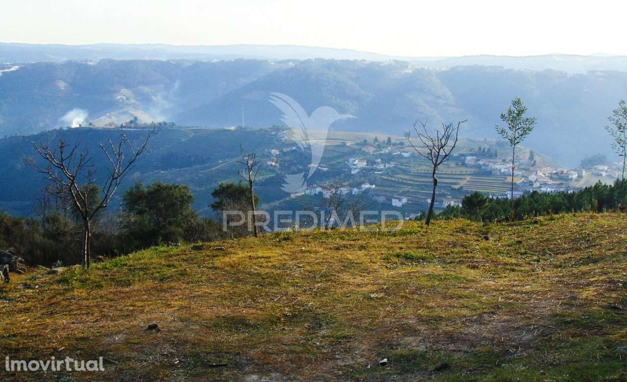 Terreno na Cumieira / Santa Marta de Penaguião - Grande imagem: 2/32