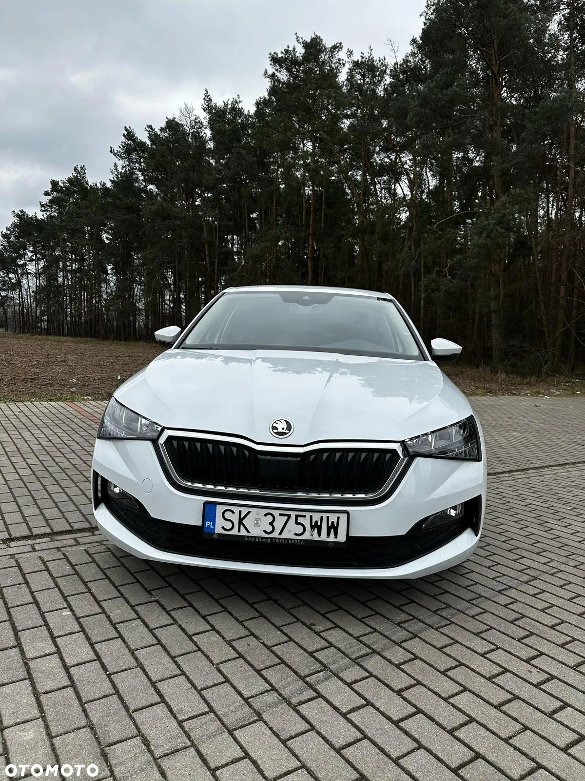 Skoda Scala 1.0 TSI Ambition DSG - 14