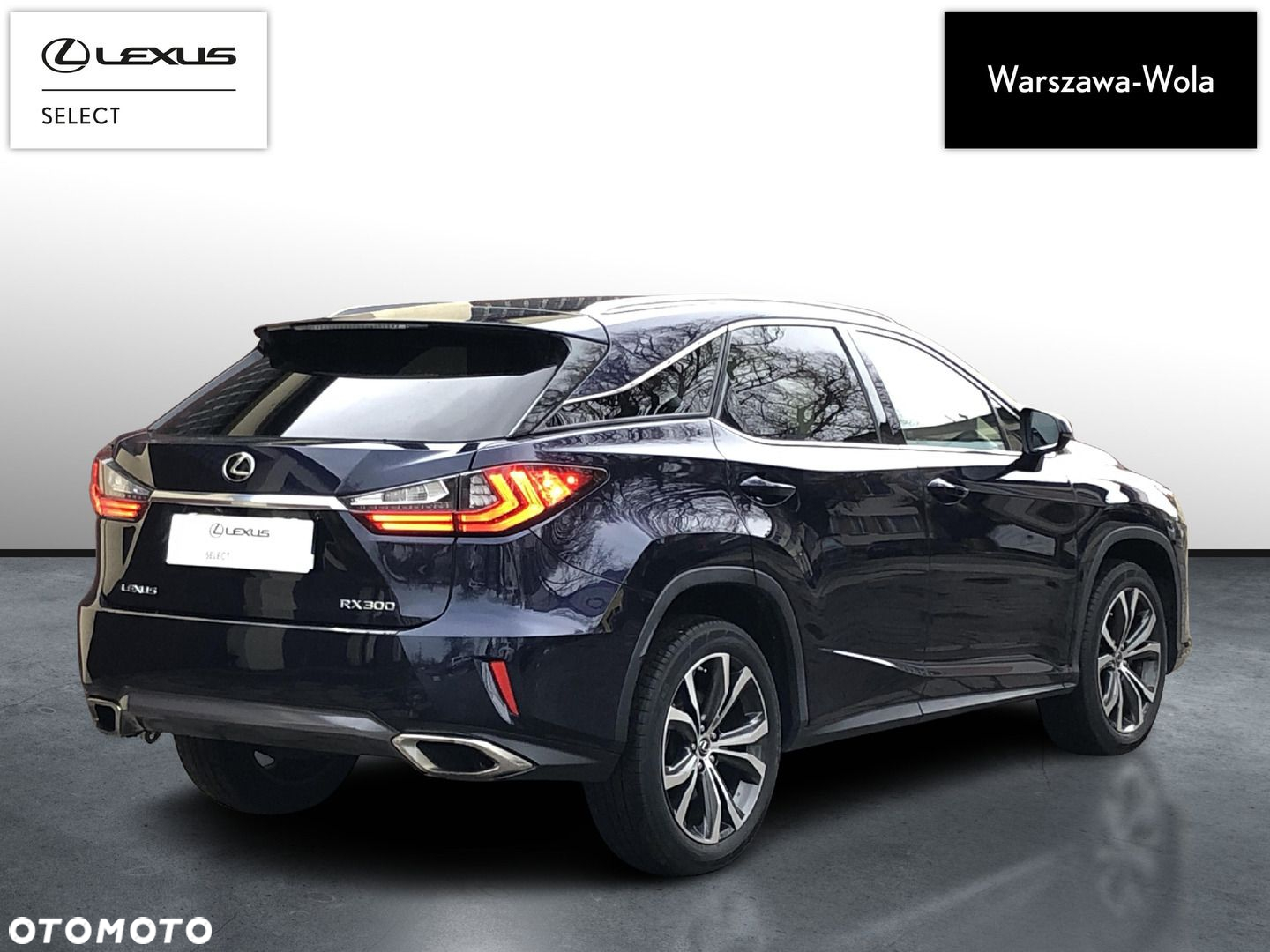 Lexus RX - 8