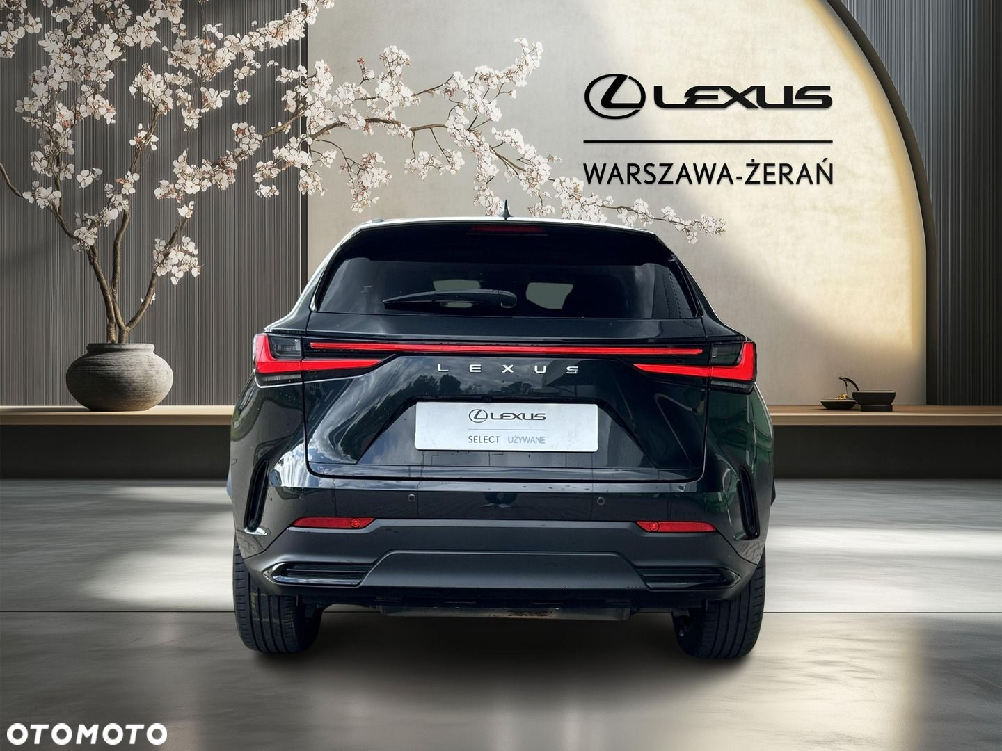 Lexus NX - 6