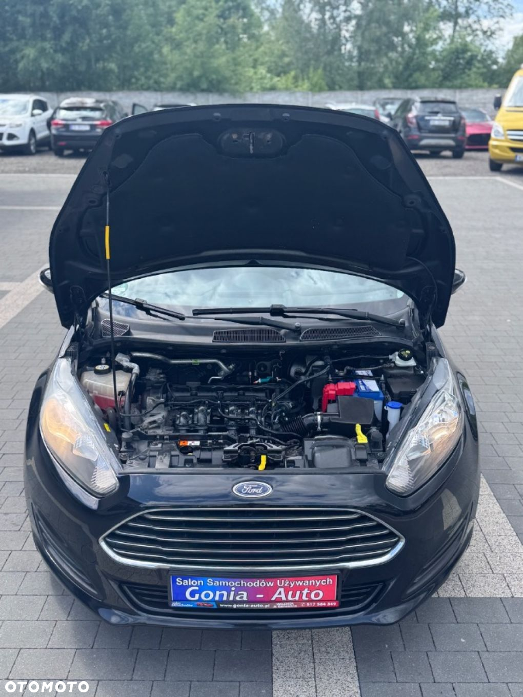 Ford Fiesta - 11