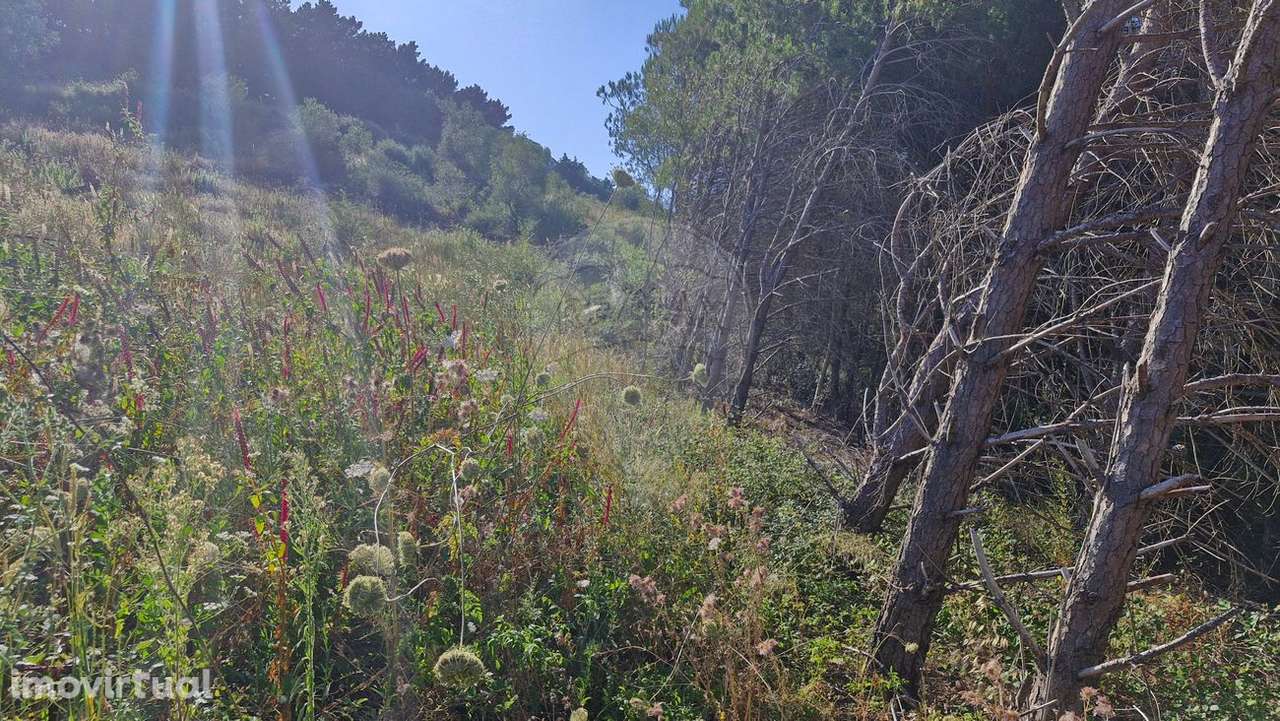 Terreno  para venda - Grande imagem: 5/20