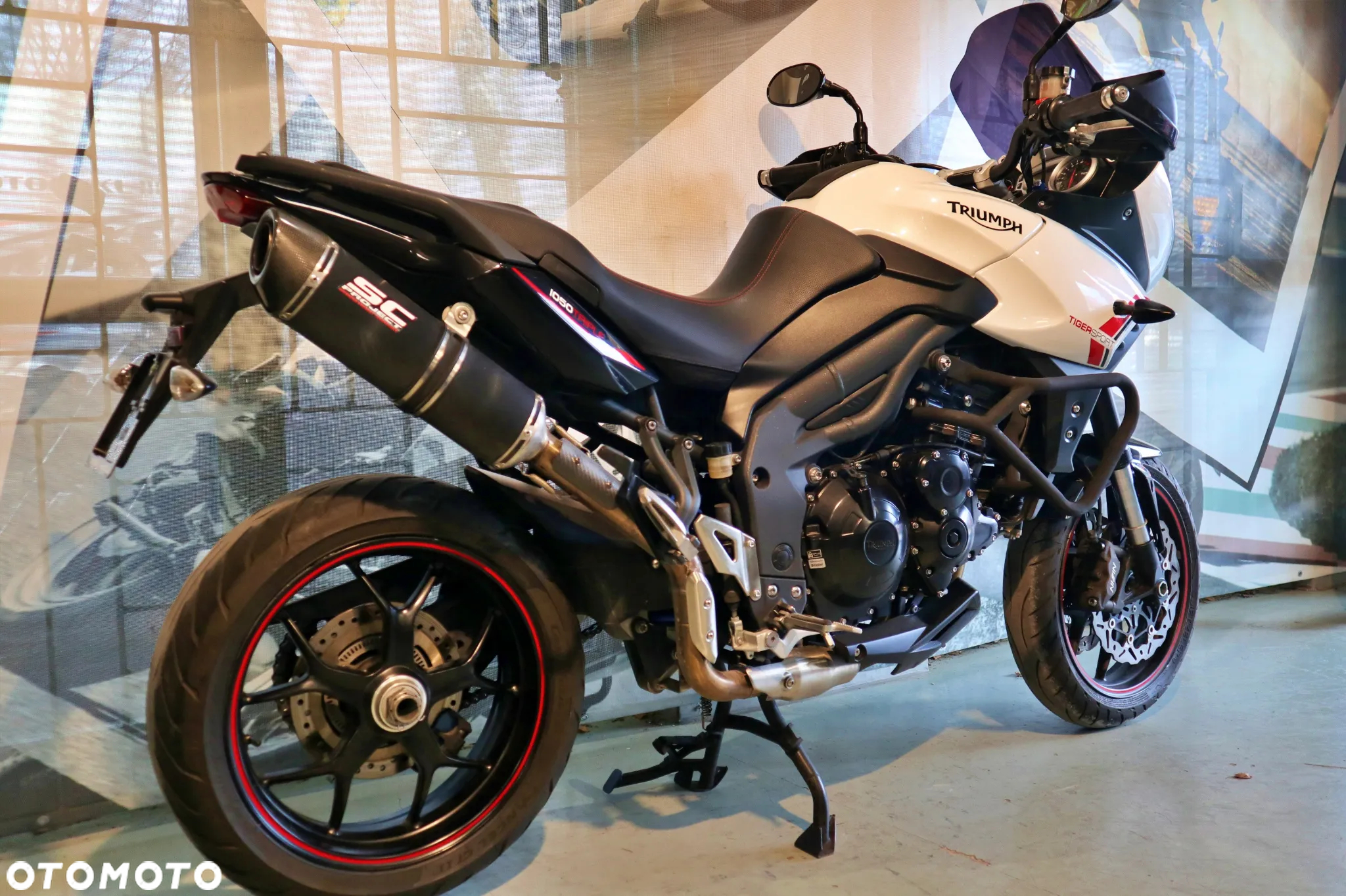 Triumph Tiger - 17