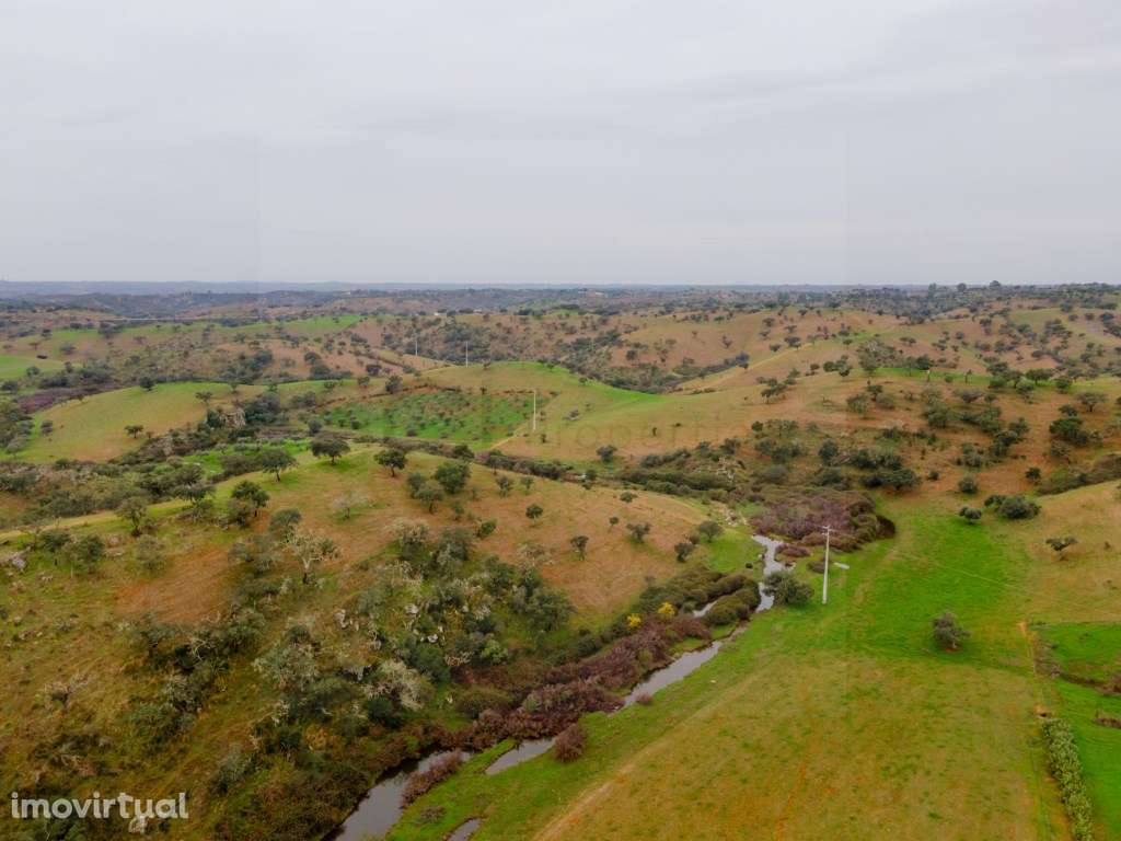 Herdade com setenta e dois hectares em Vila Nova de são Bento - Grande imagem: 3/47