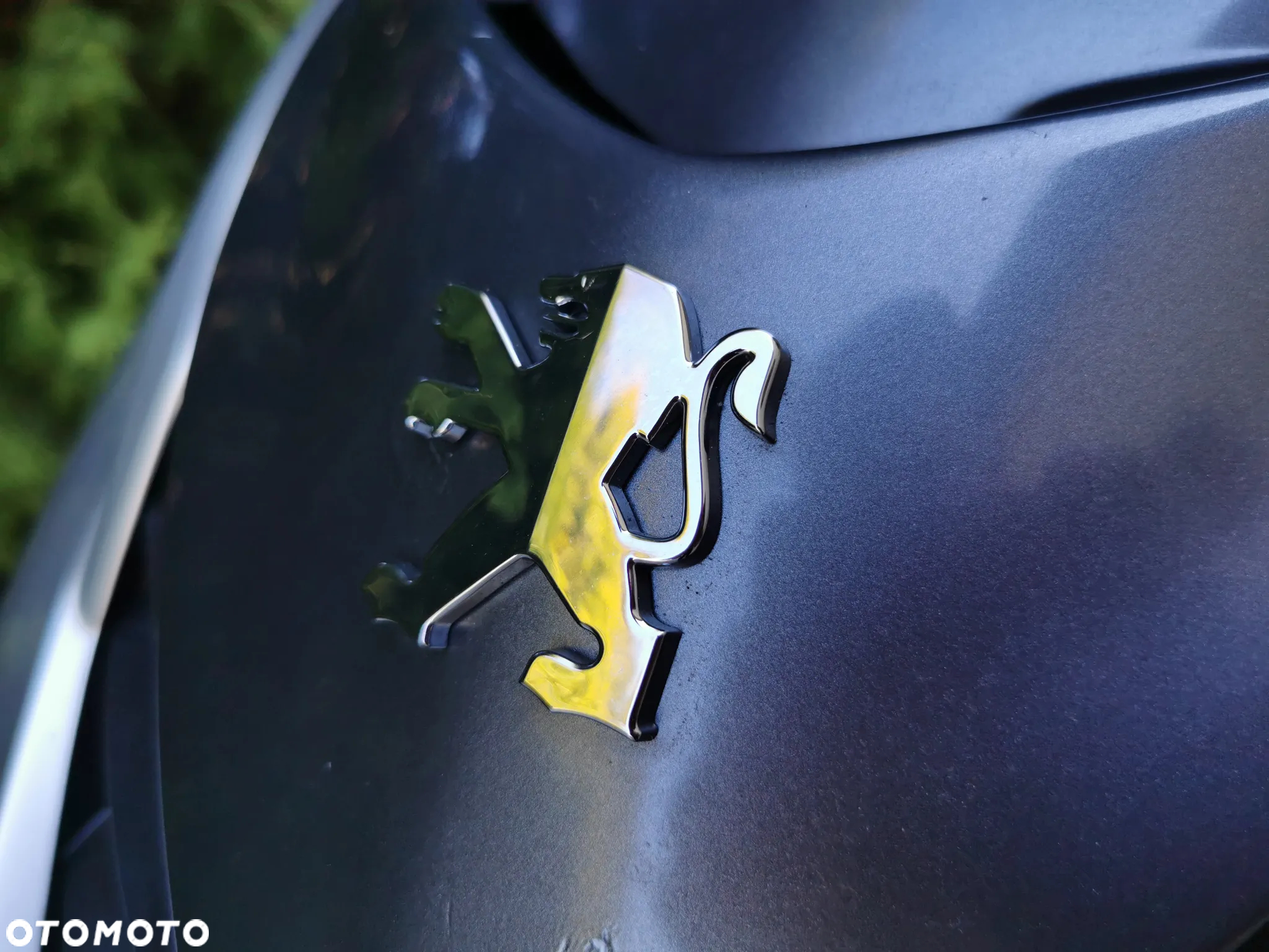 Peugeot Speedfight - 10