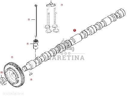 Massey Ferguson 7718S DYNA-VT Wałek Rozrządu z Kołem Zębatym CZĘŚCI 701100420060