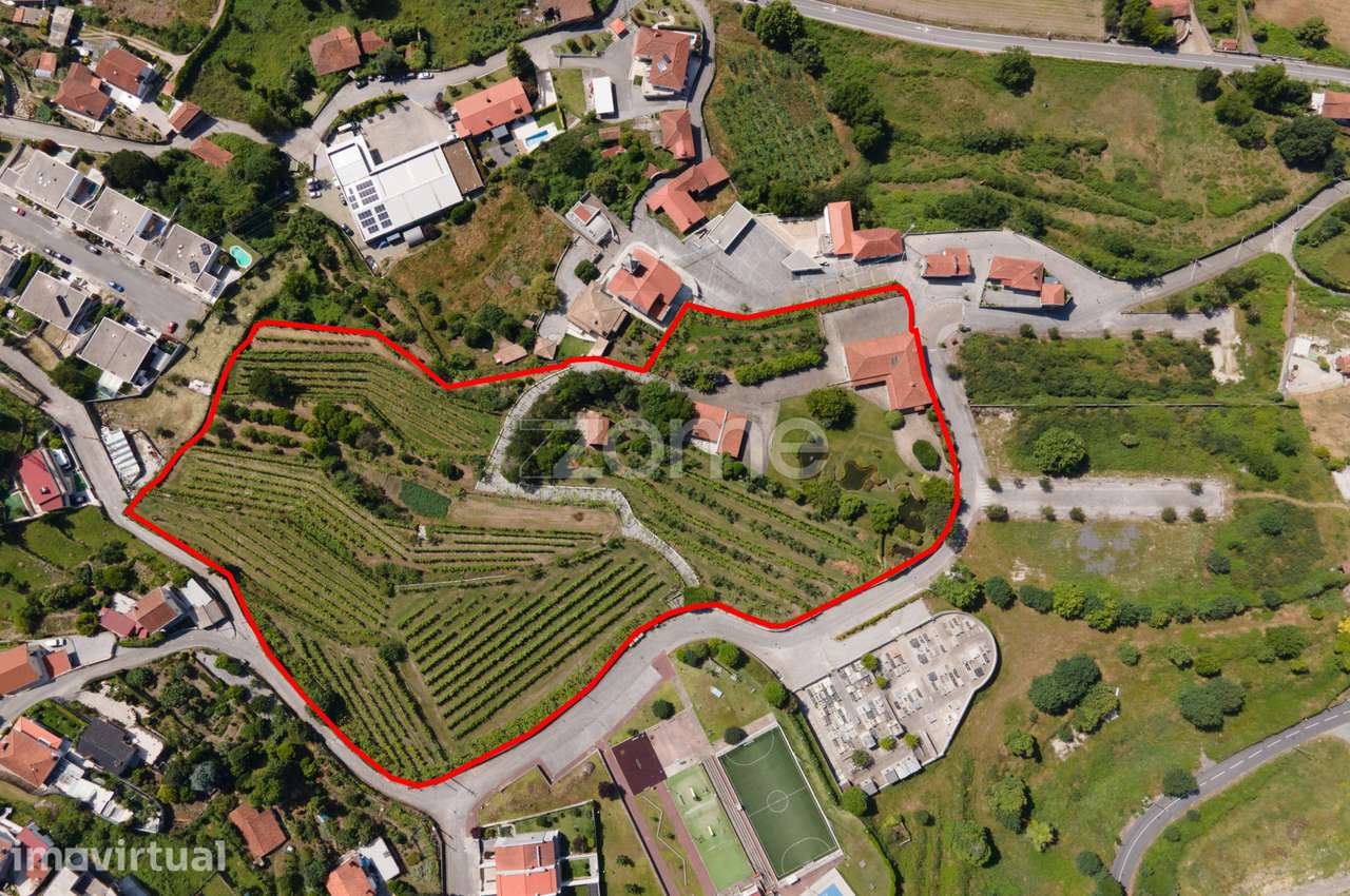 QUINTA DO ASSENTO - UM INVESTIMENTO DE OURO EM ESCUDEIROS, BRAGA! - Grande imagem: 2/60