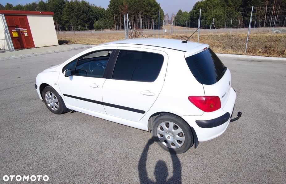 Peugeot 307 - 8