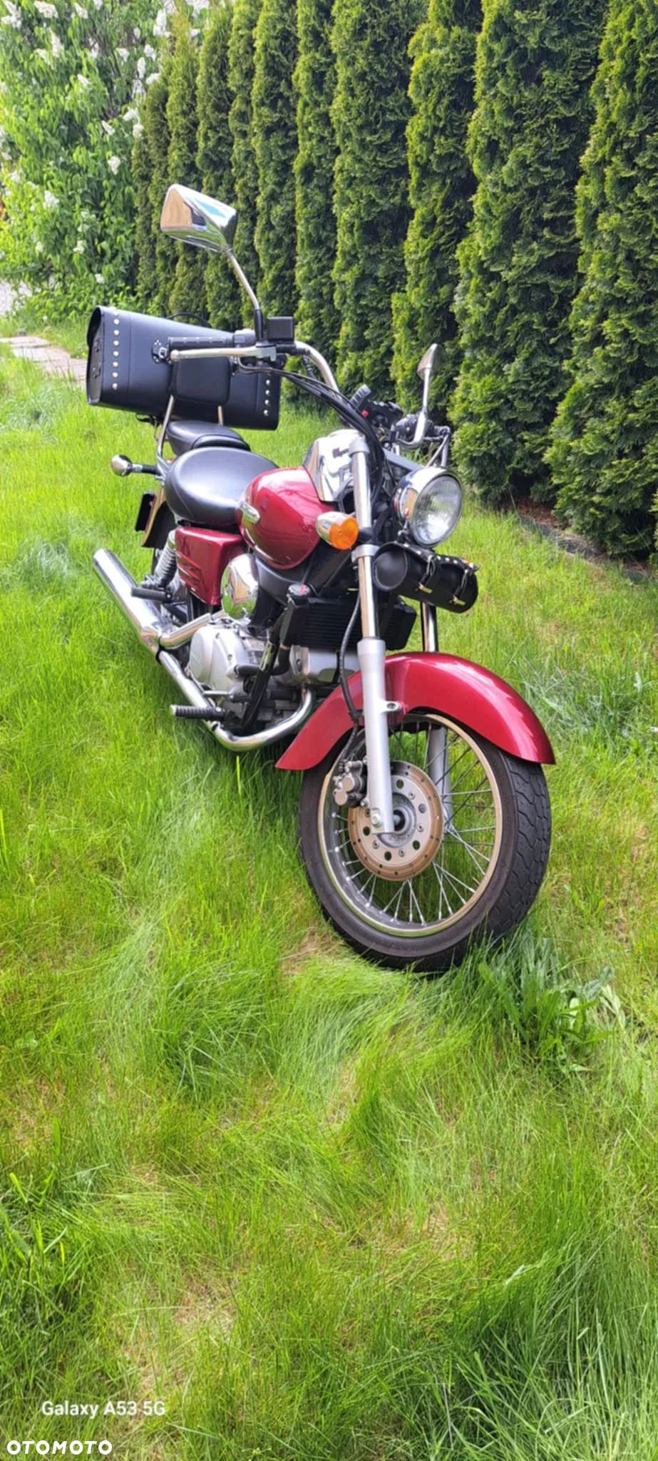 Honda Shadow - 1