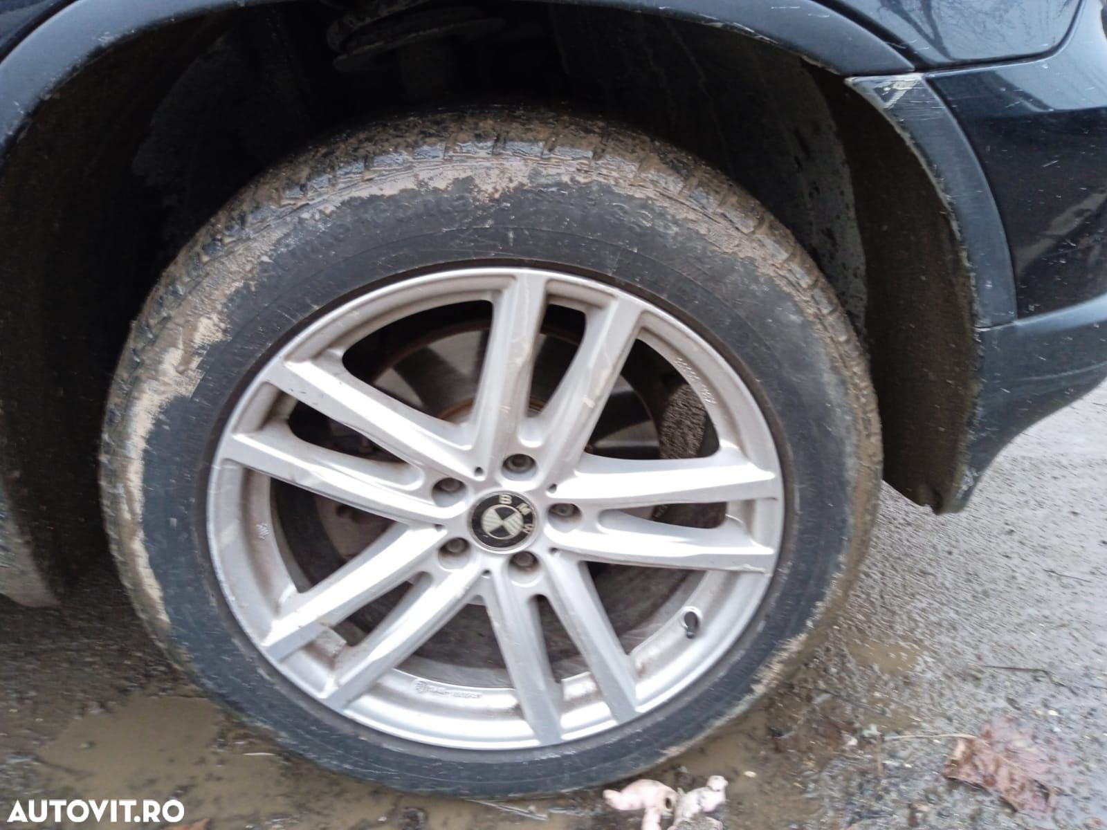 Dezmembrari  BMW X5 (E53)  2000  > 2006 3.0 d Motorina - 5