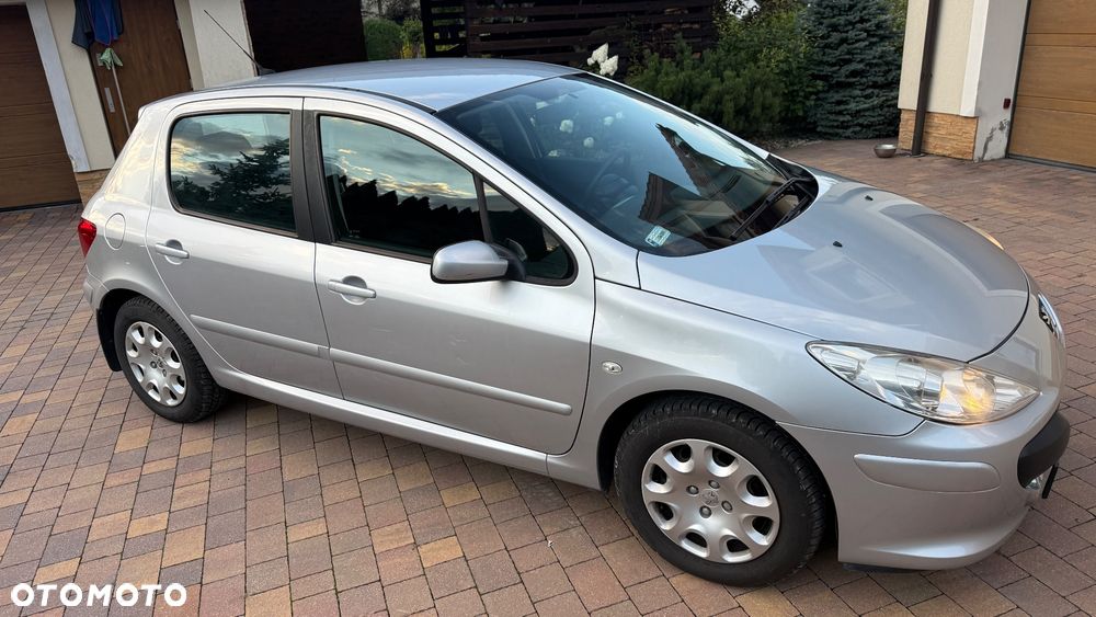 Peugeot 307 1.4 Presence - 4