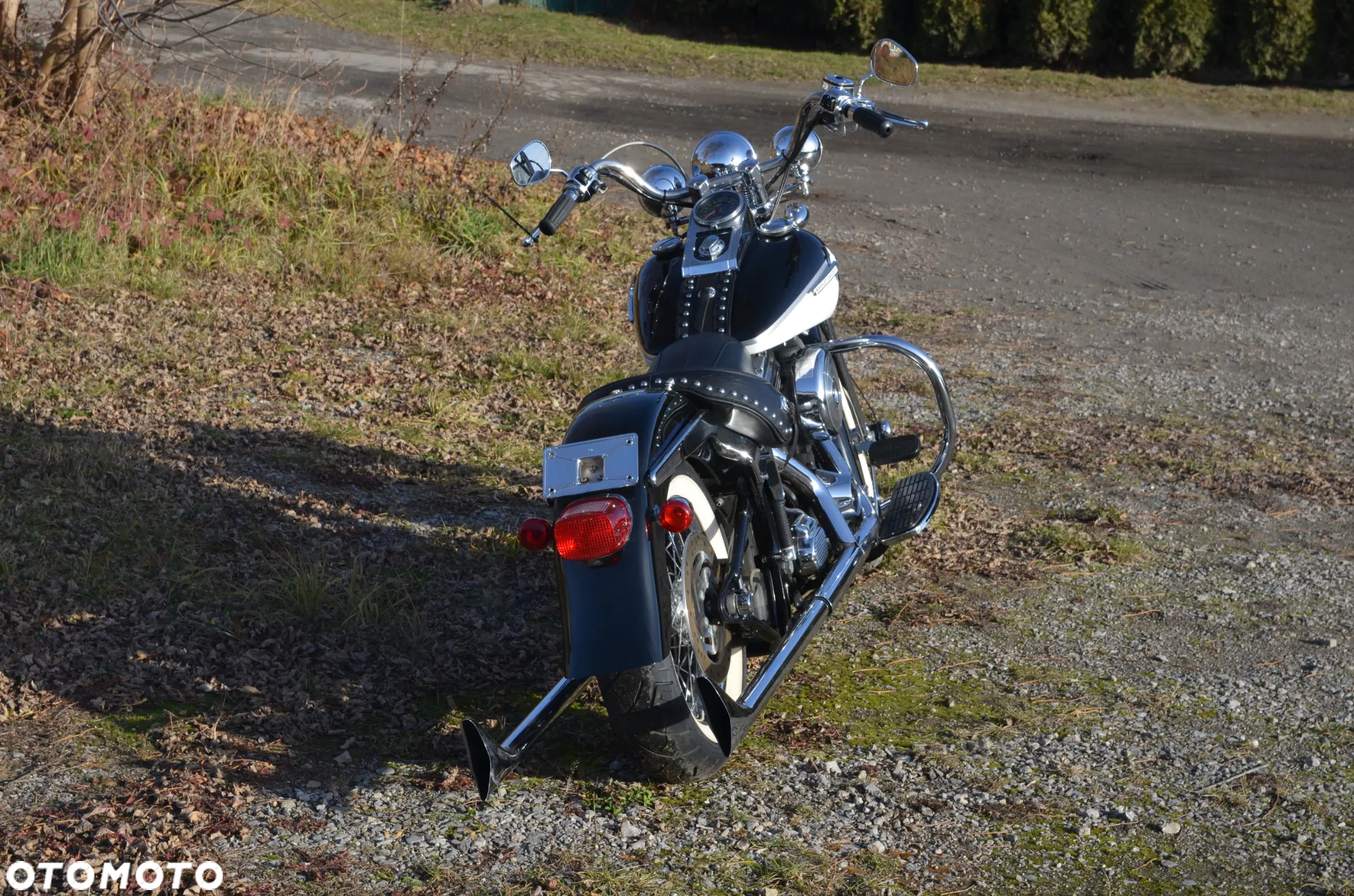 Harley-Davidson Softail Springer Classic - 4
