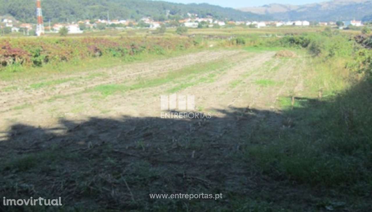 Venda de Terreno agrícola, Perre, Viana do Castelo - Grande imagem: 4/24