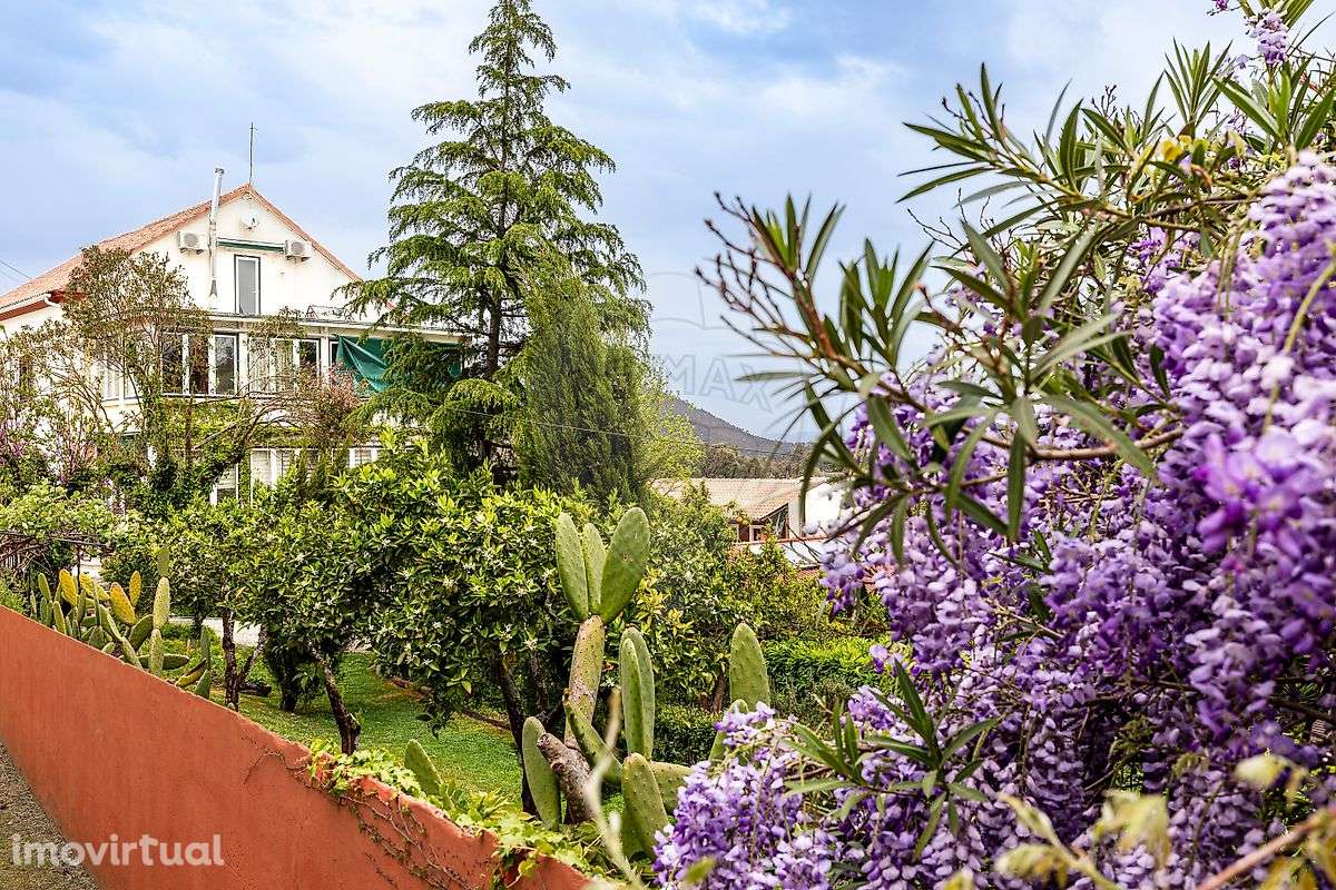 Quinta T21 para venda - Grande imagem: 3/48