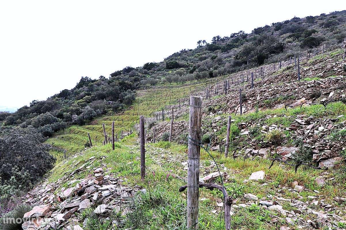 Terreno  para venda - Grande imagem: 2/11