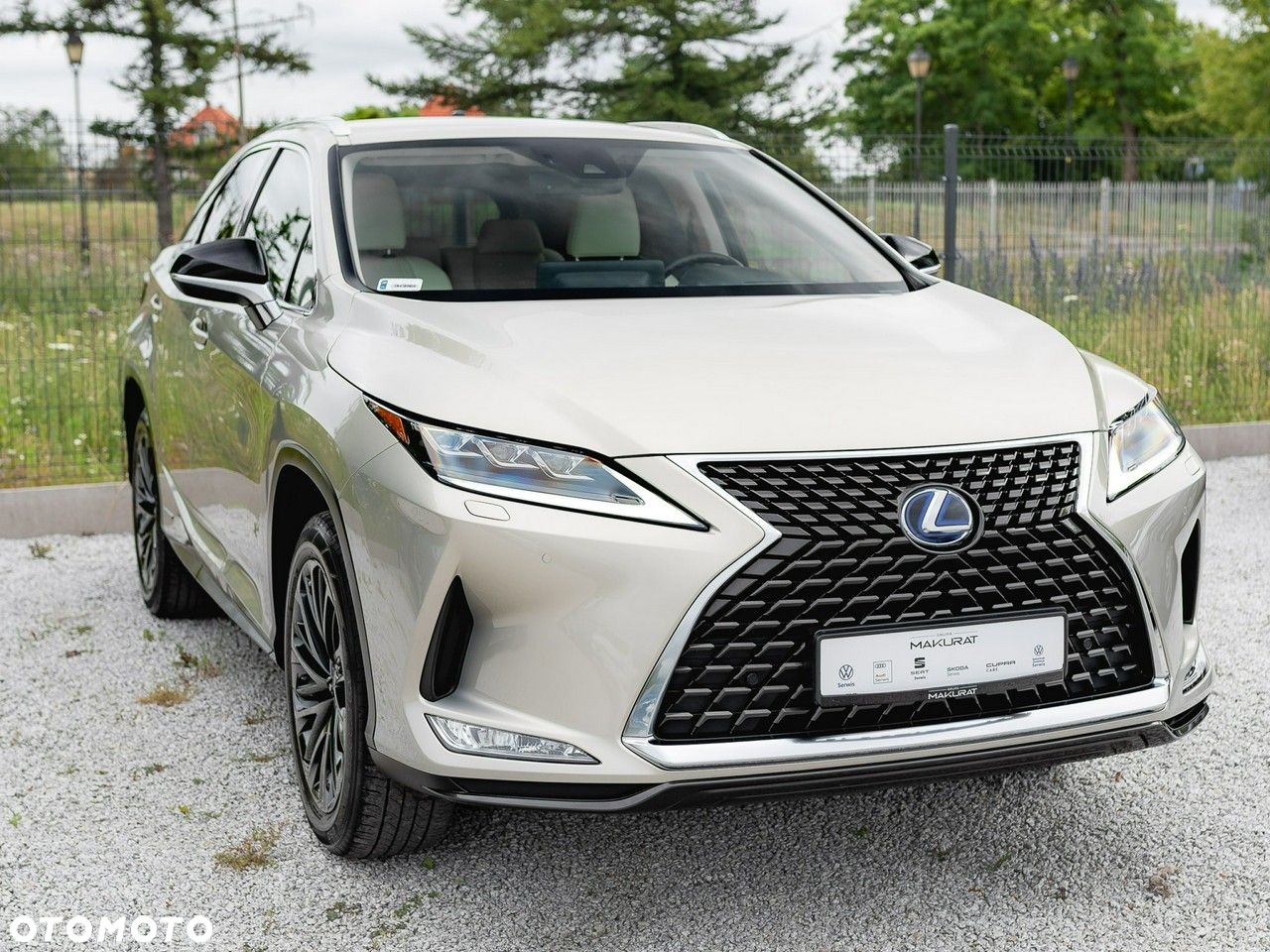 Lexus RX 450h F-Impression - 4