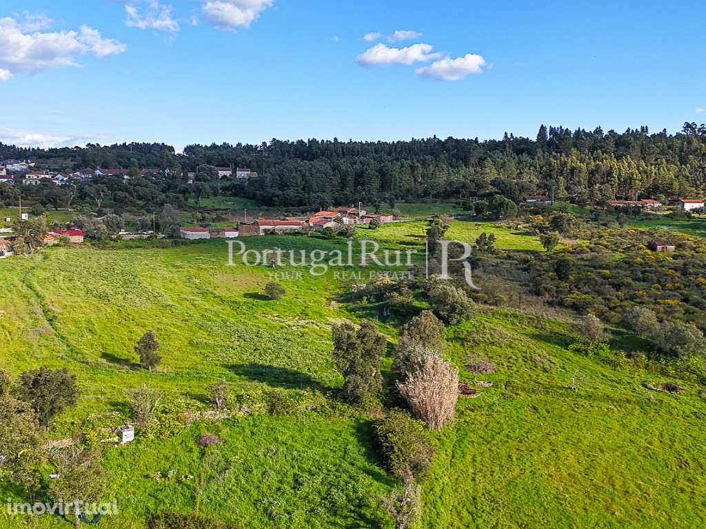 Quinta com Aptidão para Turismo - Grande imagem: 3/21