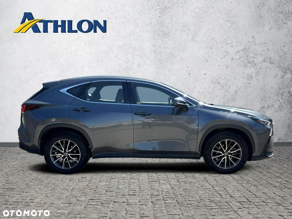 Lexus NX - 6