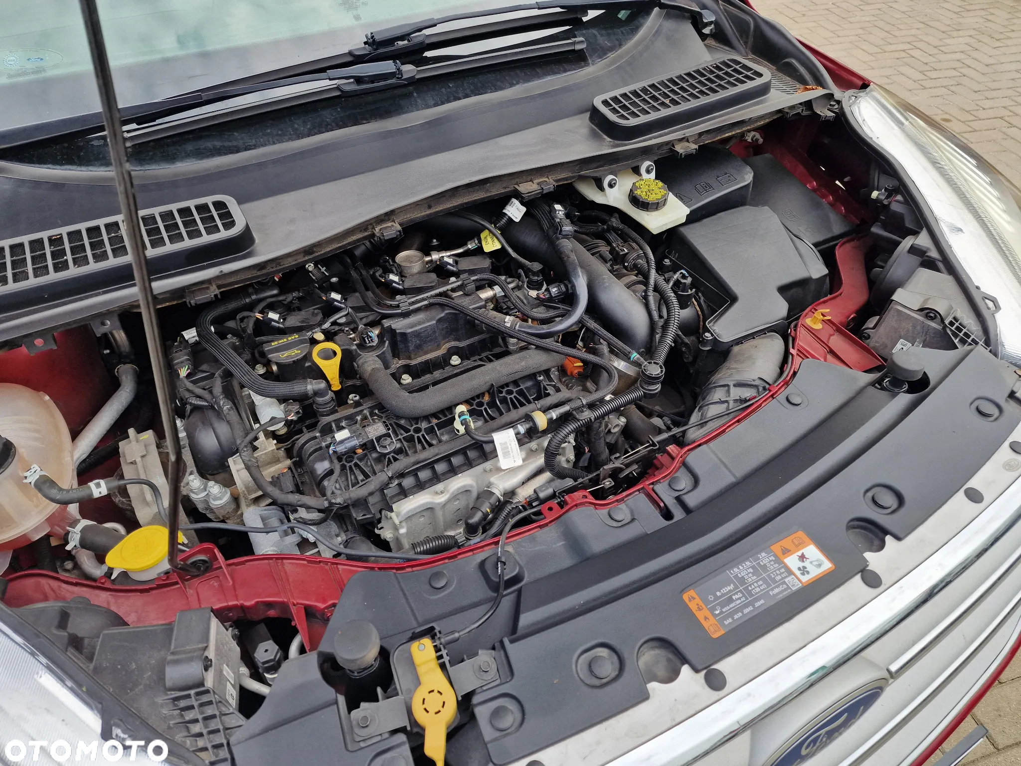 Ford Escape - 16