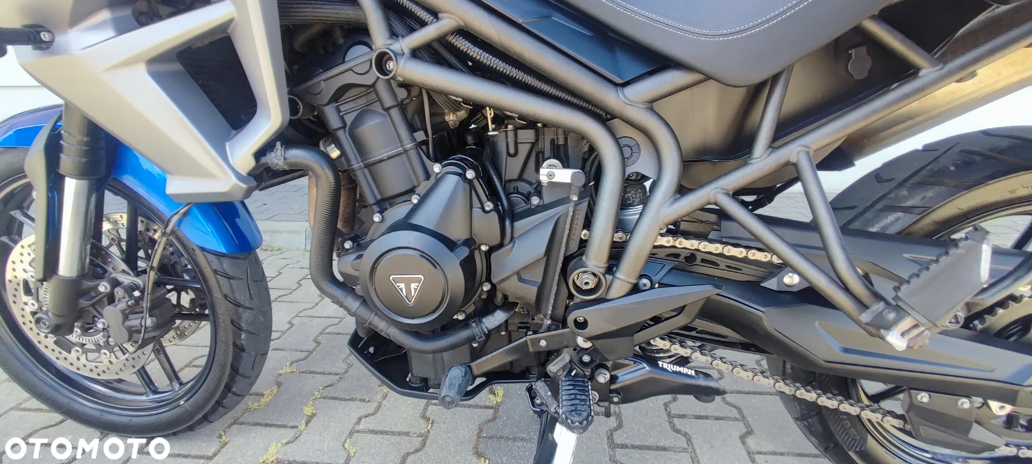 Triumph Tiger - 9