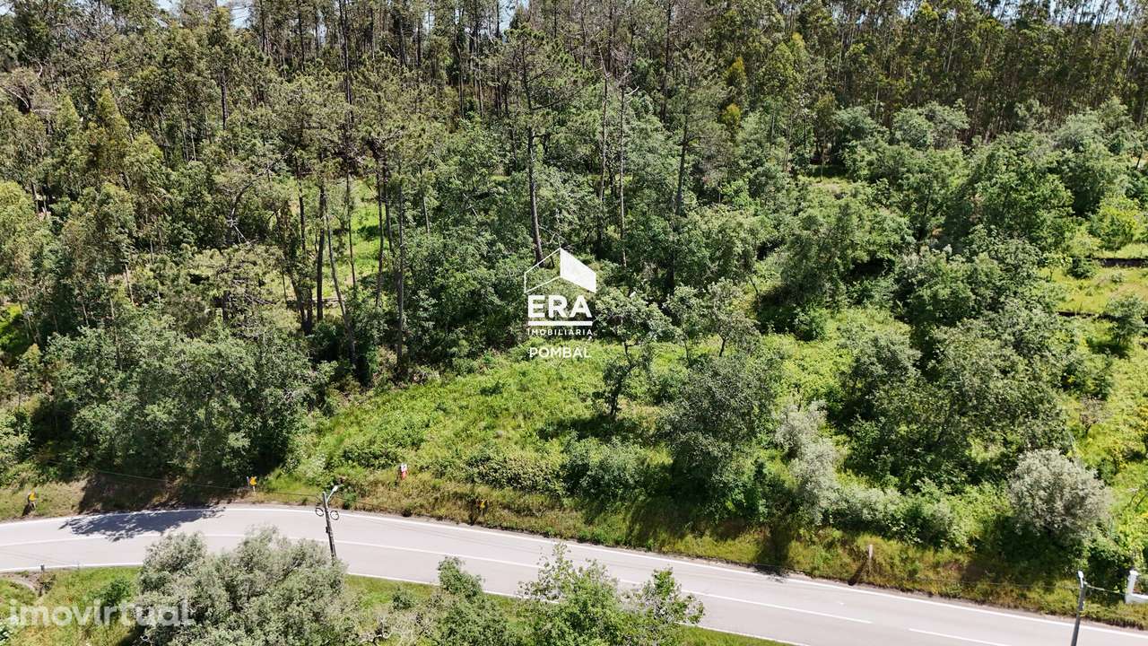 Terreno com 1636m2, Albergaria dos Doze - Grande imagem: 5/11