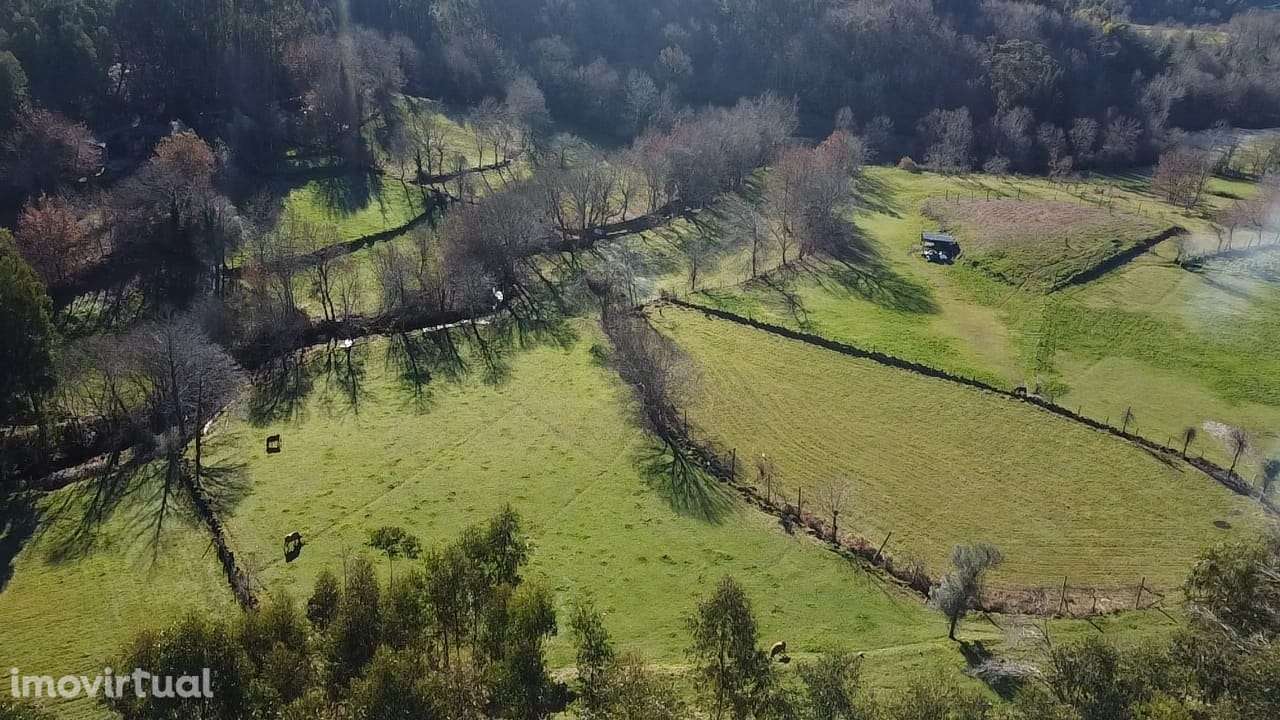 Terreno  Venda em Pinheiro,Vieira do Minho - Grande imagem: 4/20
