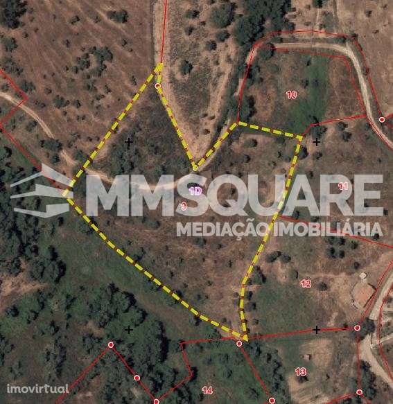 Quintinha  Venda em Garvão e Santa Luzia,Ourique - Grande imagem: 4/20