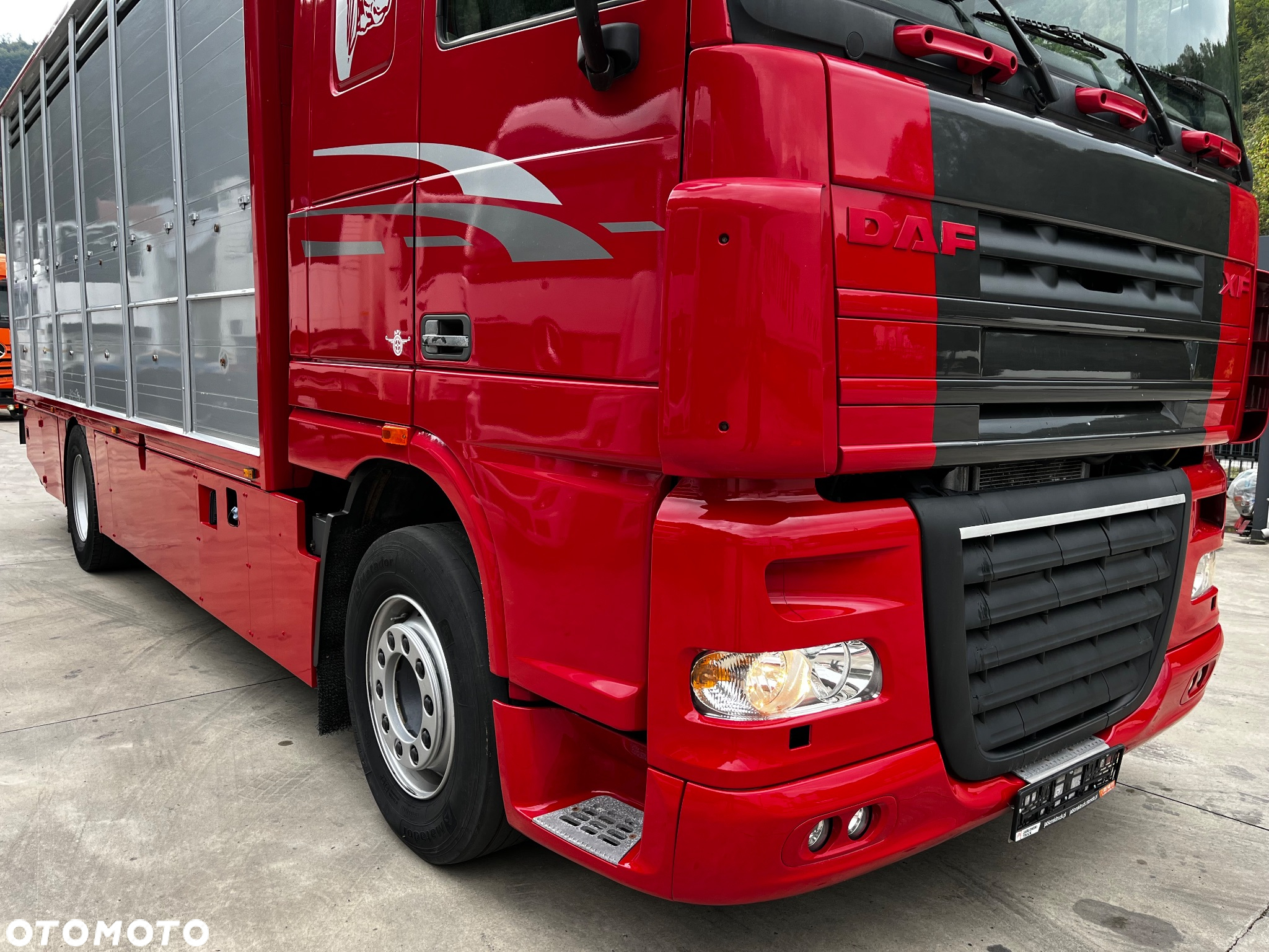 DAF XF 105.460 Euro 5 // Manual // Retarder // Do Żywca / Bydła / Zwierząt / - 3