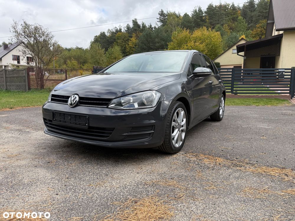 Volkswagen Golf - 15
