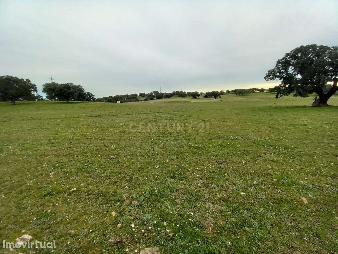 Herdade com 17,2ha na localidade de  Zebreira - Grande imagem: 3/34