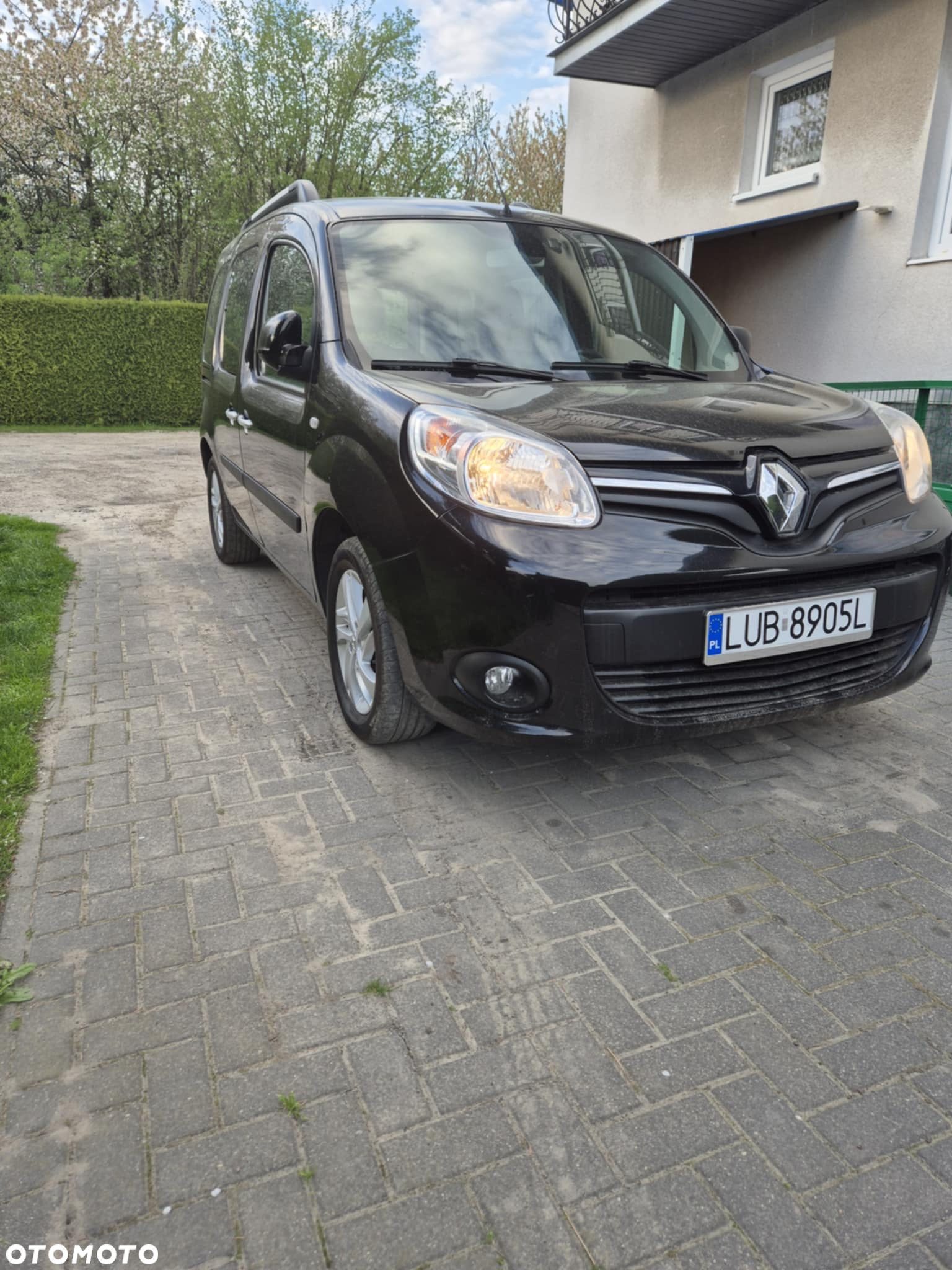 Renault Kangoo - 3