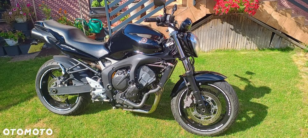 Yamaha FZ6 - 1