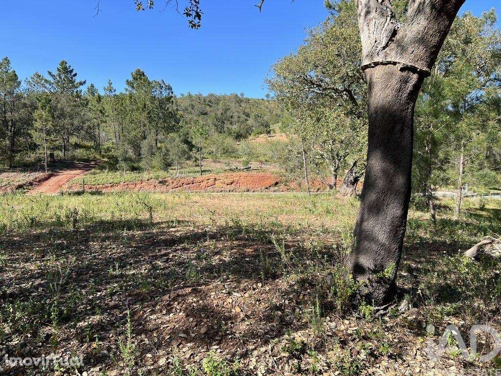 Terreno em Querença, Tôr e Benafim de 1580,00 m2 - Grande imagem: 3/9