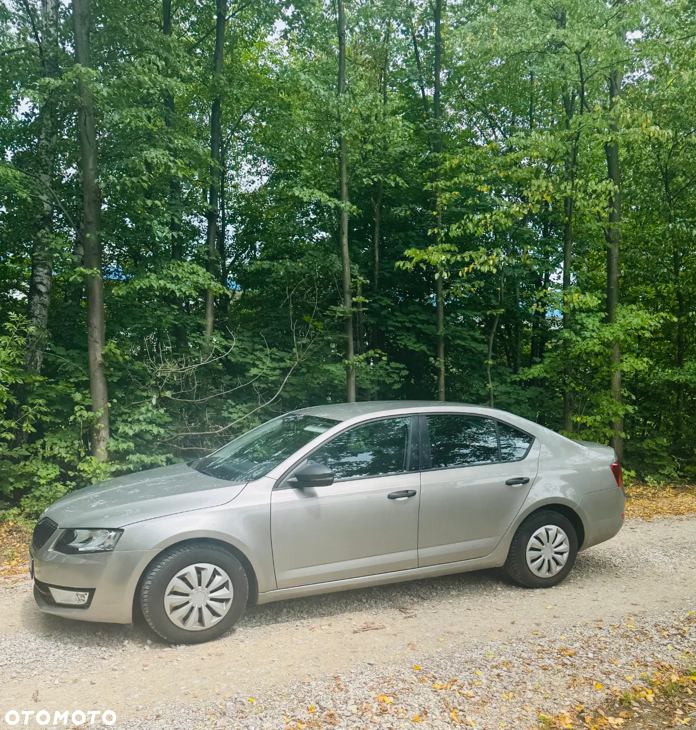 Skoda Octavia 1.2 TSI Active - 2
