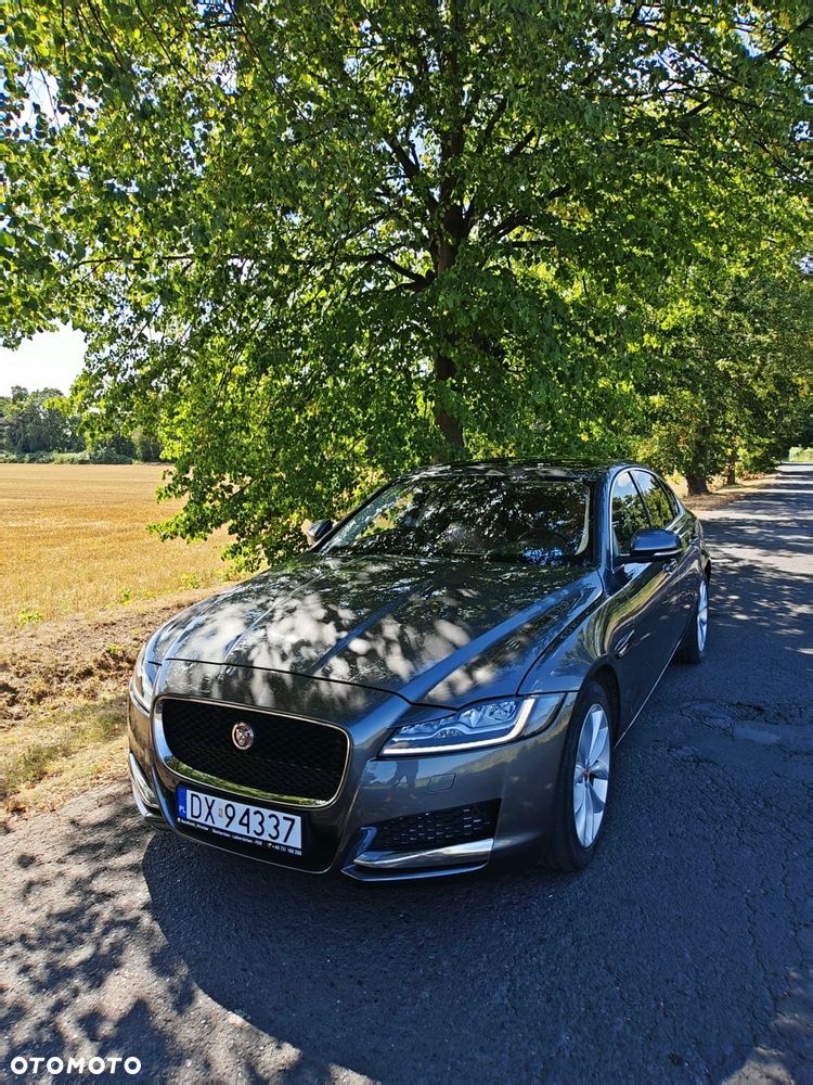 Jaguar XF 20d Prestige - 6