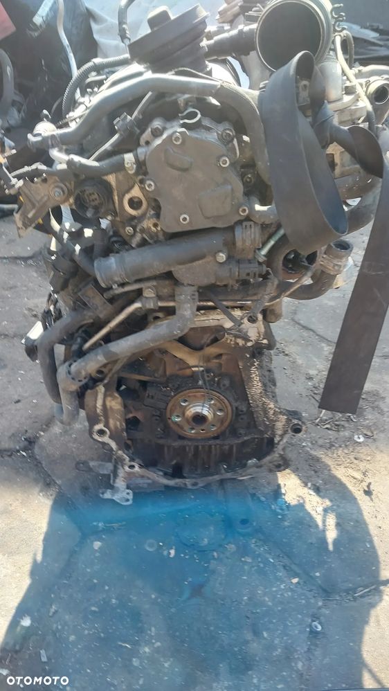 Silnik 1.9 Tdi 105 KM BJB BKC BXE BRU AVQ BXF NA CZĘŚCI GŁOWICA Tłok wał korbowód wałek rozrządu pokrywa miska olejowa rura dolotowa koło wałka pasowe magistrala wody pompa paliwa wtryskowa vacum EGR zawór - 3