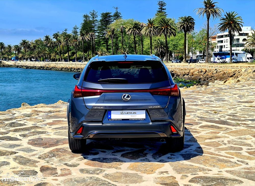 Lexus UX 250h Sport - 5