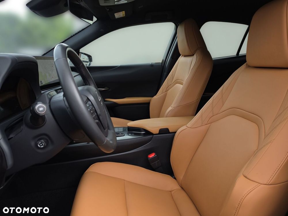 Lexus UX 300h F Sport Design - 18