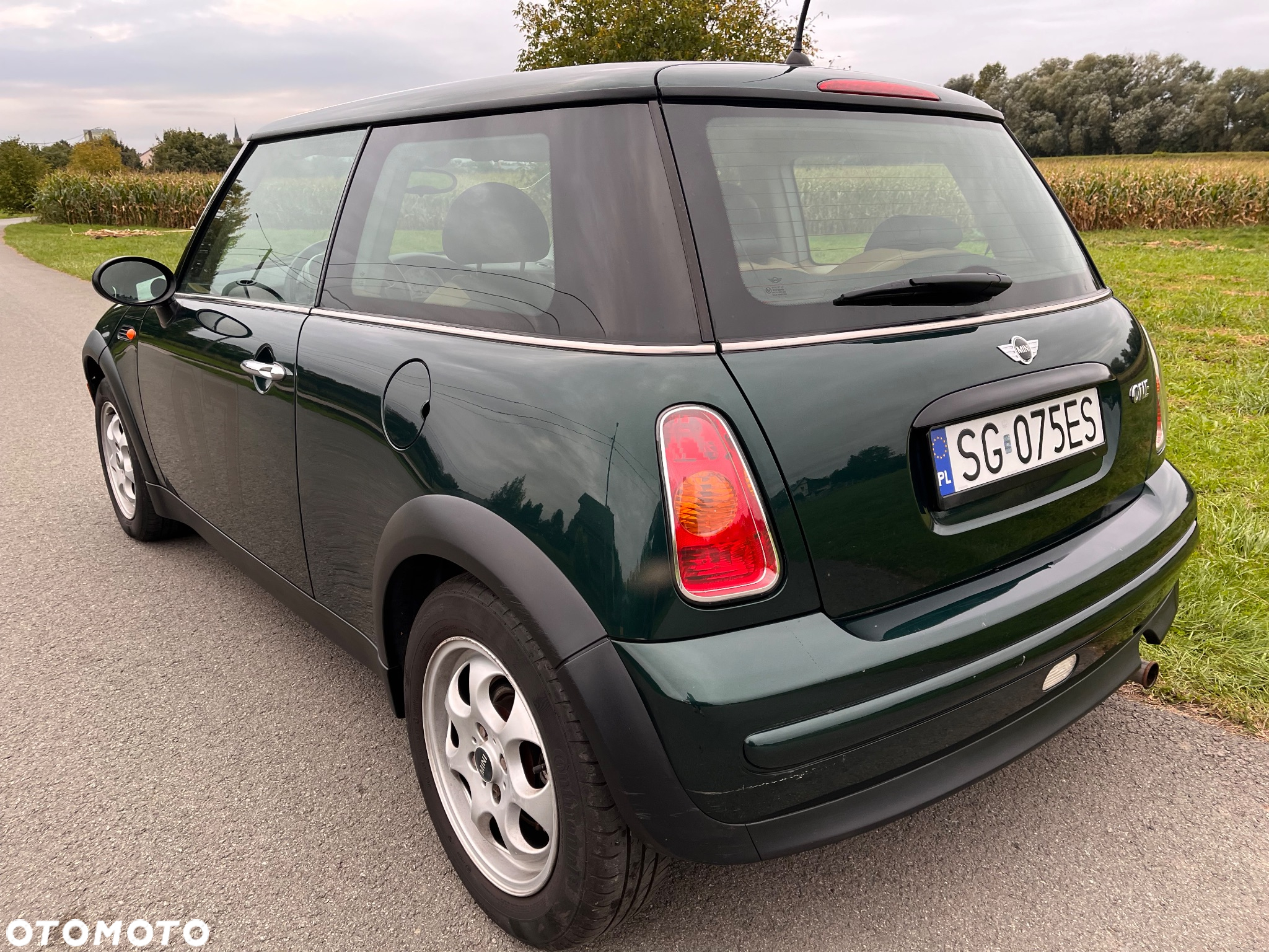 MINI ONE salt - 12