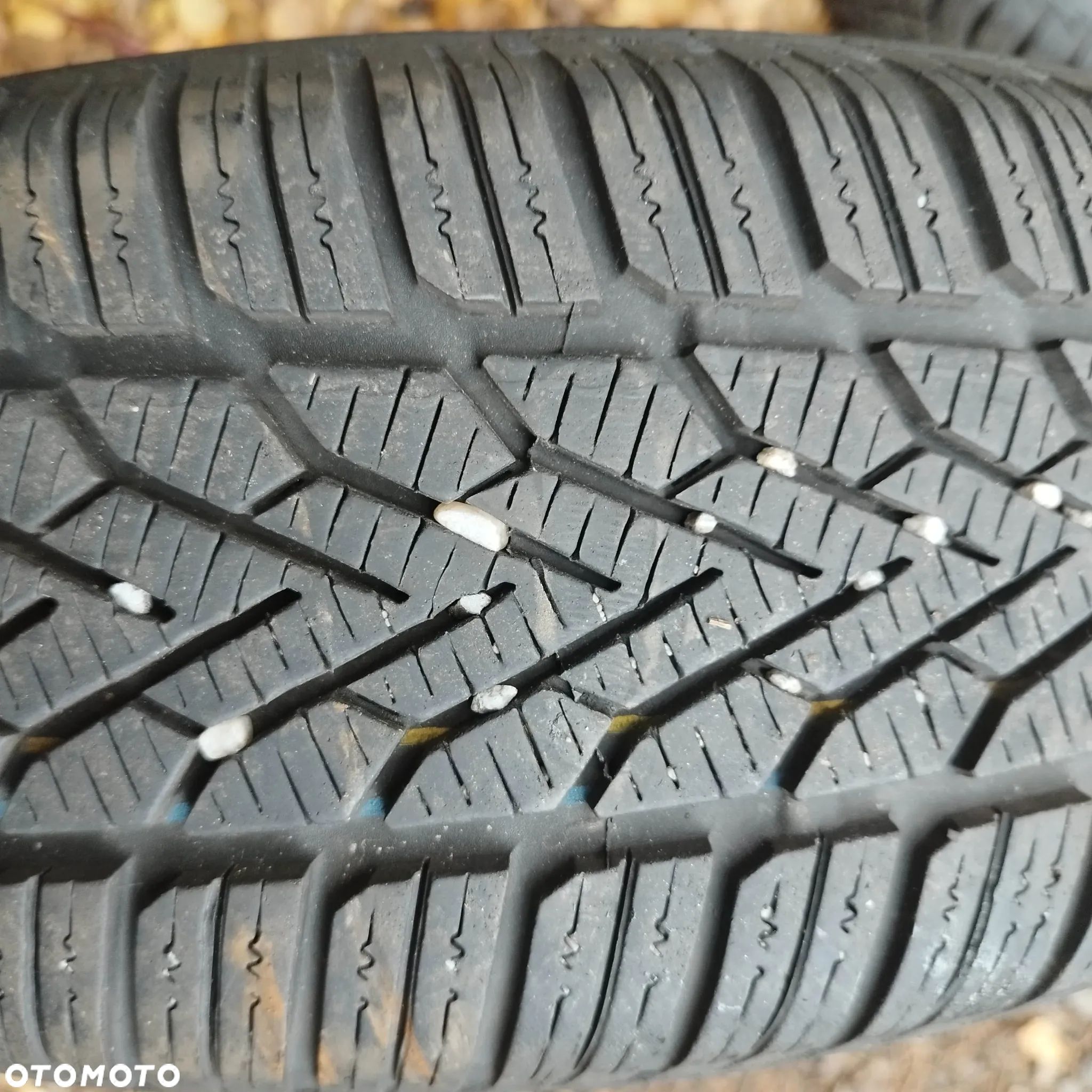185/65/15 semperit speed grip 2 - 1