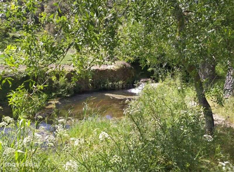 Casa em Veigas de Quintanilha - Grande imagem: 2/5