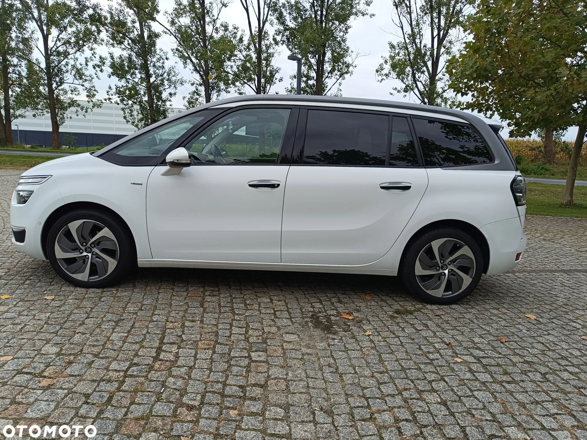 Citroën C4 Grand Picasso 2.0 BlueHDi Exclusive - 6