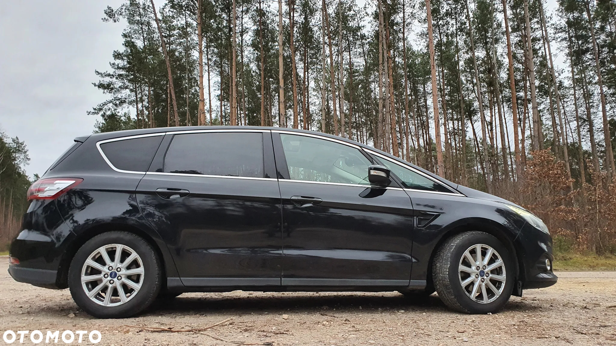 Ford S-Max 2.0 EcoBoost Titanium - 4