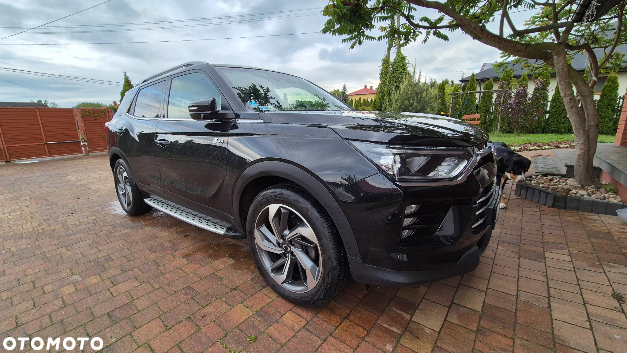 SsangYong/KGM Korando 1.5 T-GDI Onyx 4WD - 2