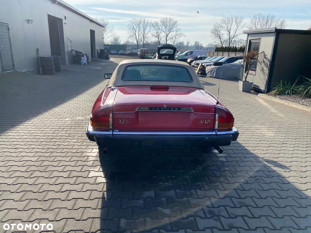 Jaguar XJS - 8