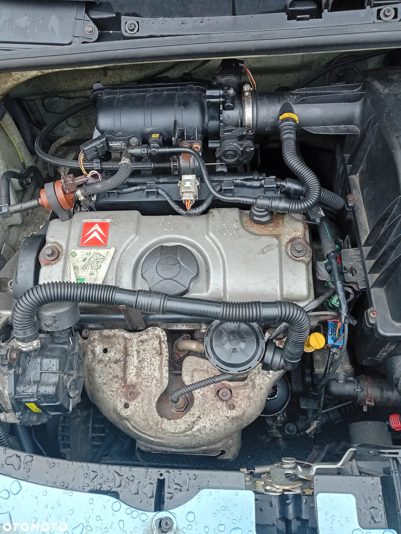 Citroën C3 1.1 Furio - 13