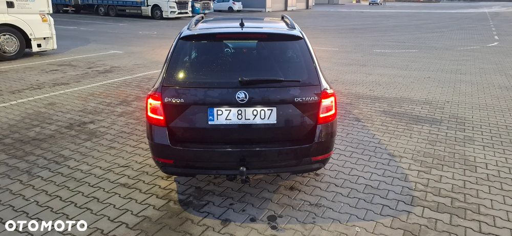 Skoda Octavia 1.0 TSI Drive DSG - 26