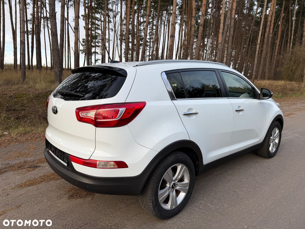 Kia Sportage 1.6 GDI Business Line L 2WD - 5