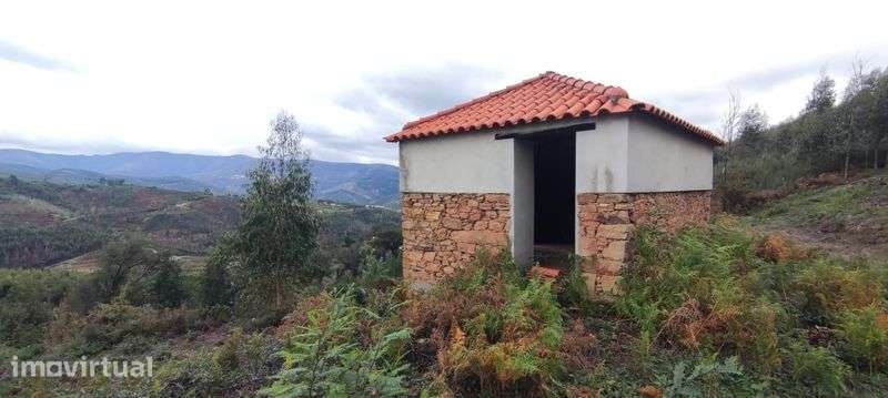 Terreno com 17.000m² e Ruína em Vinho – Vila Cova de Alva, Arganil - Grande imagem: 3/3